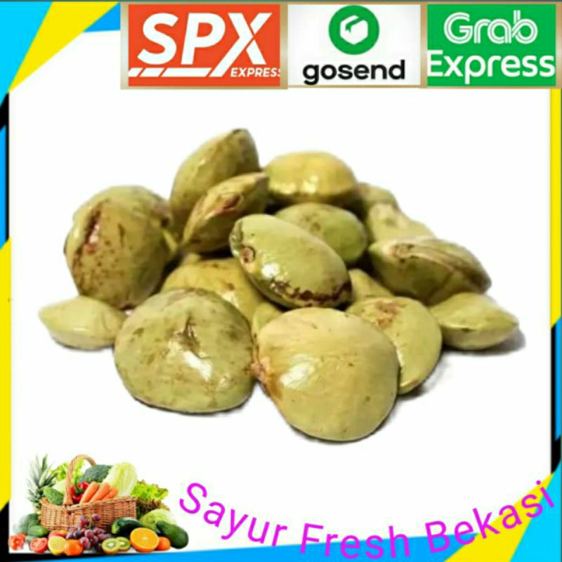 

Jengkol Muda Kupas 250g.