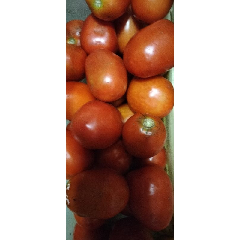 

Tomat 1kg