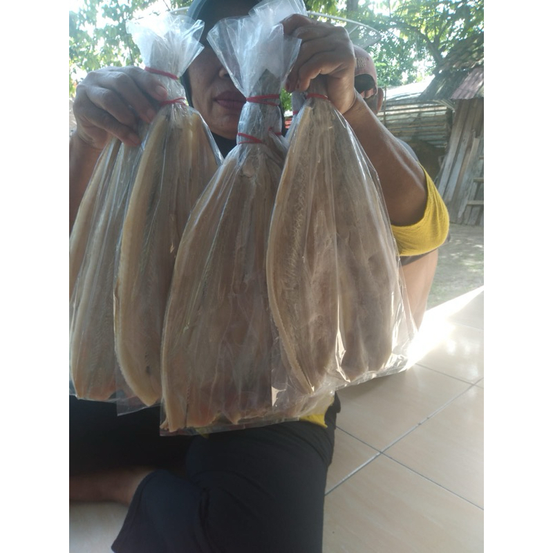

Ikan Asin Jambal Roti jumbo asli Pantai Anyer