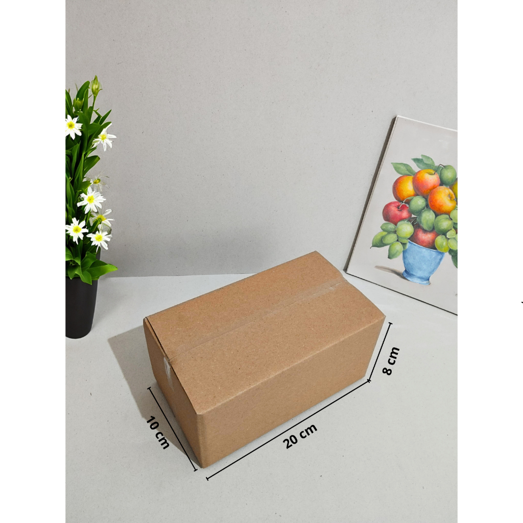 

( 10 Pcs ) Kardus Karton Box Polos 10 x 20 x 8