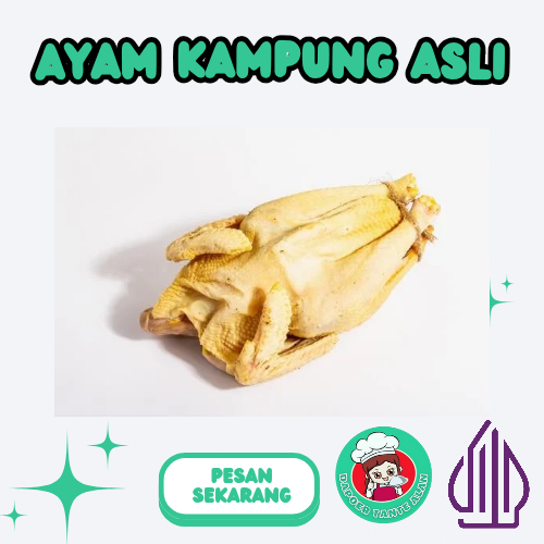 

Ayam Kampung Asli Utuh dan Halal