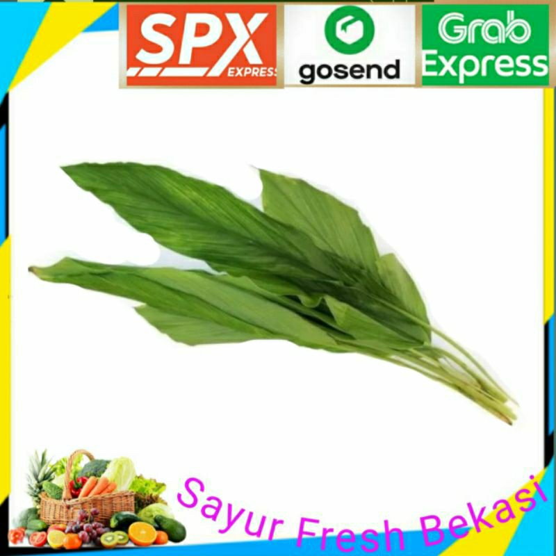 

Daun Kunyit ( 1 ikat).