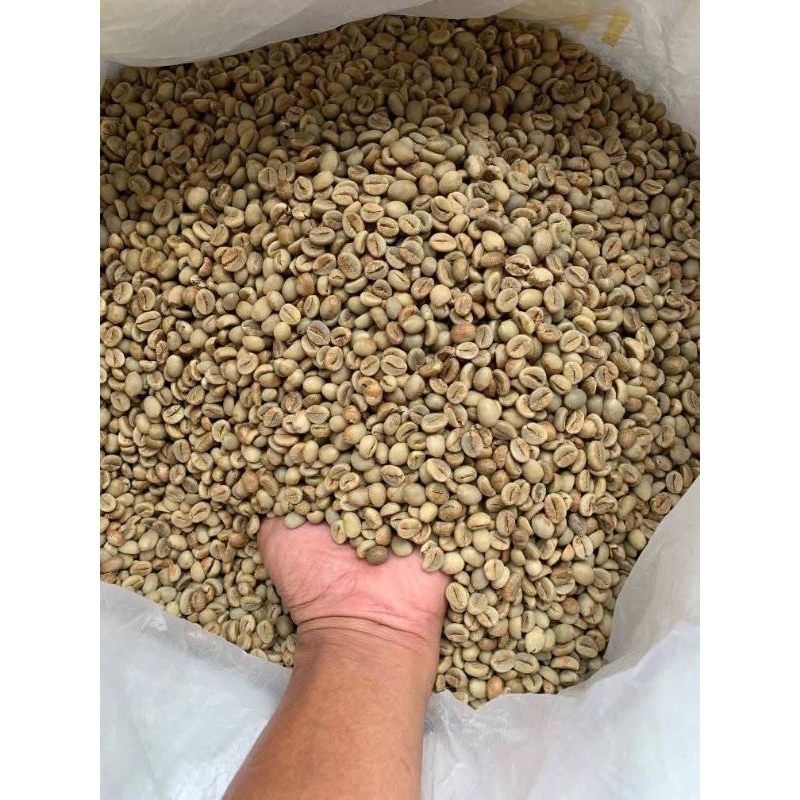 BIJI KOPI ROBUSTA TEMANGGUNG (GREENBEAN KOPI) BIJI MENTAH KOPI ROBUSTA GRADE 1 | 1 KG.