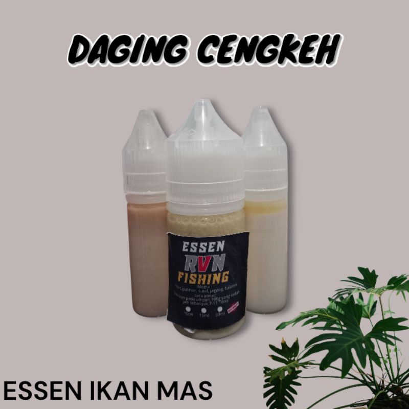 Essen DAGING CENGKEH ikan mas