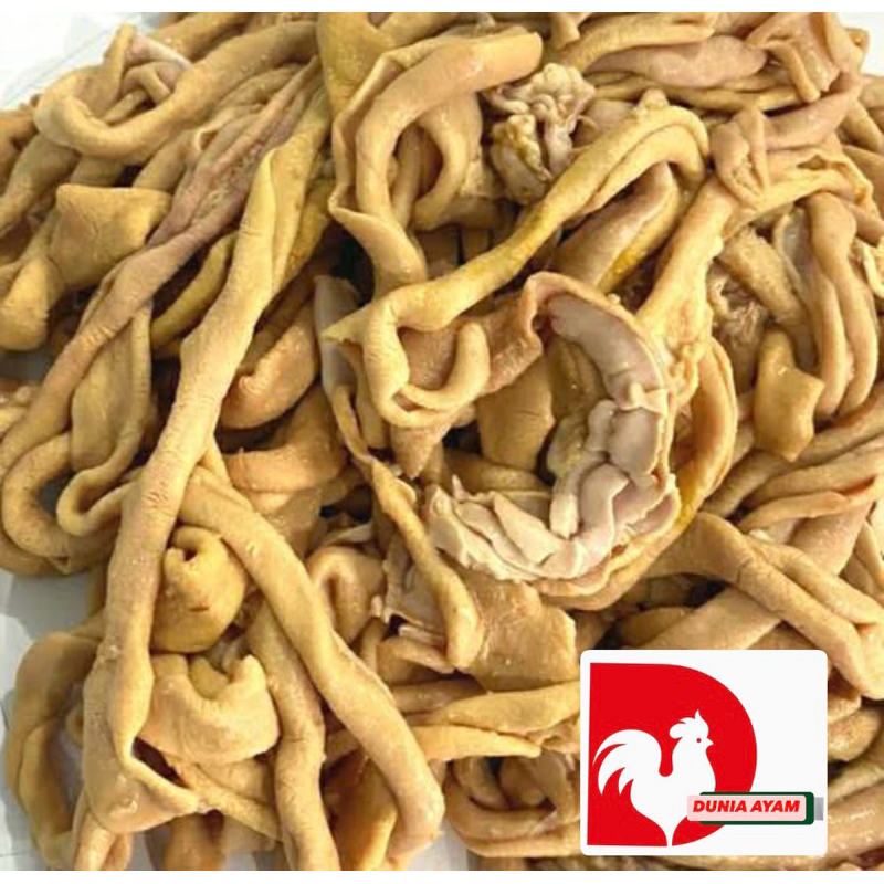 

[DuniaAyam] Usus Ayam 1kg