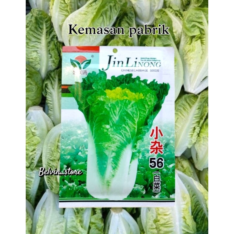 1000 butir benih sawi putih import [kemasan pabrik]