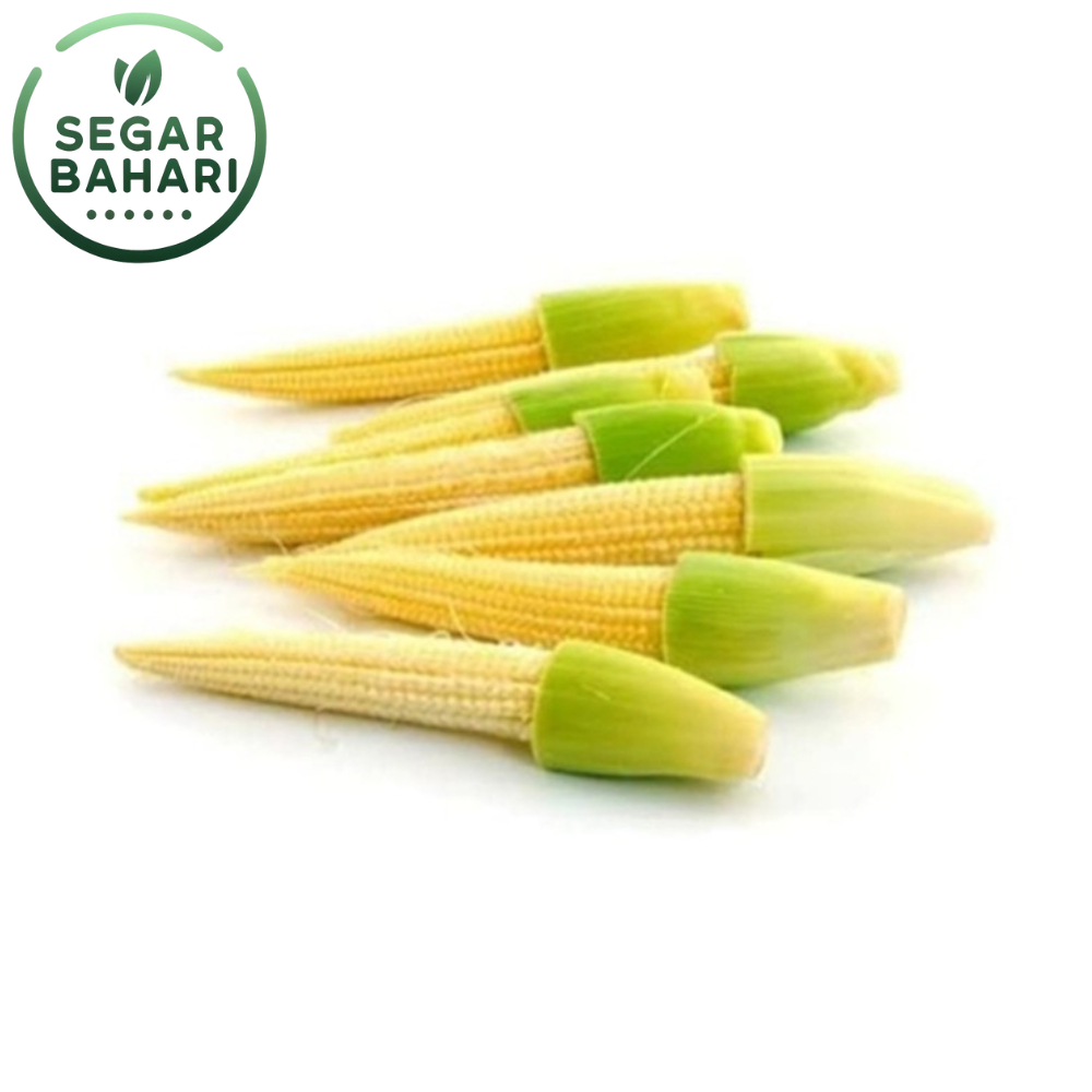 

Segar Bahari Jagung Putren Jagung Muda 200Gr