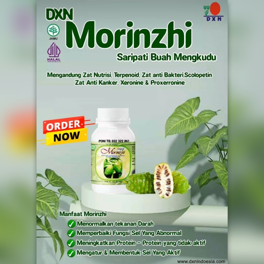 Morinzhi DXN - Saripati Buah Mengkudu isi 30 Kapsul
