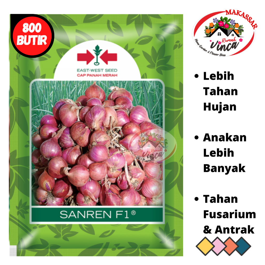 Benih Biji Bibit Bawang Merah TSS SANREN F1 800 Biji Cap Panah Merah