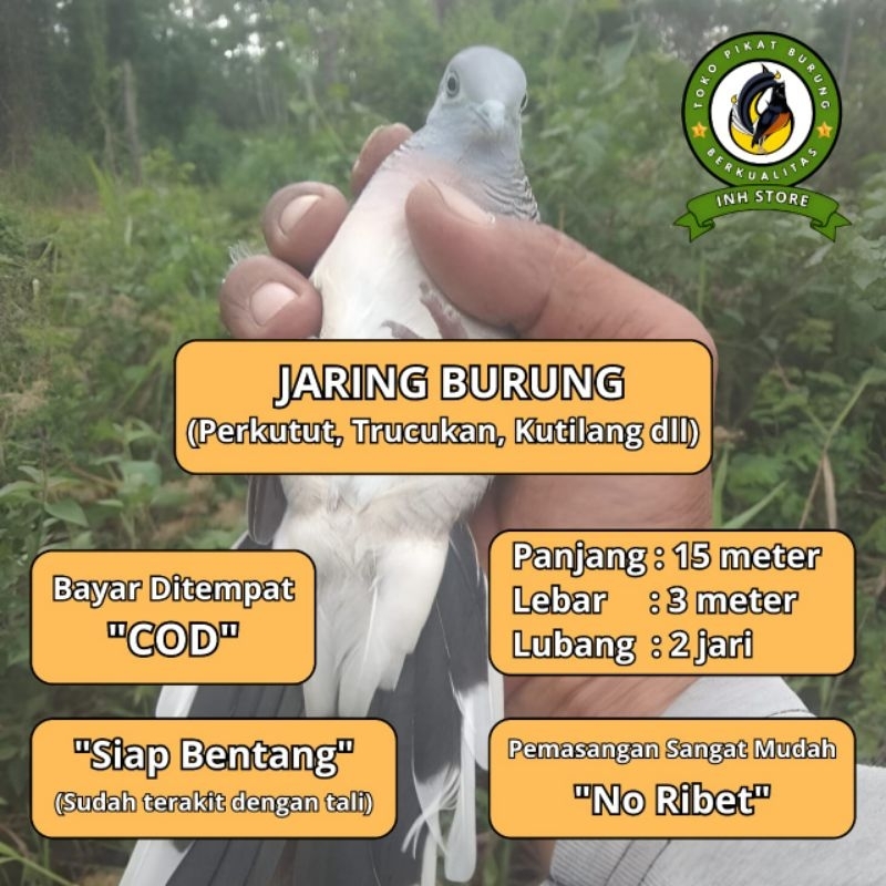 JARING BURUNG PERKUTUT JARING BURUNG KUTUT JARING BURUNG KUTUT JARING BURUNG BESAR JARING BURUNG 2 I