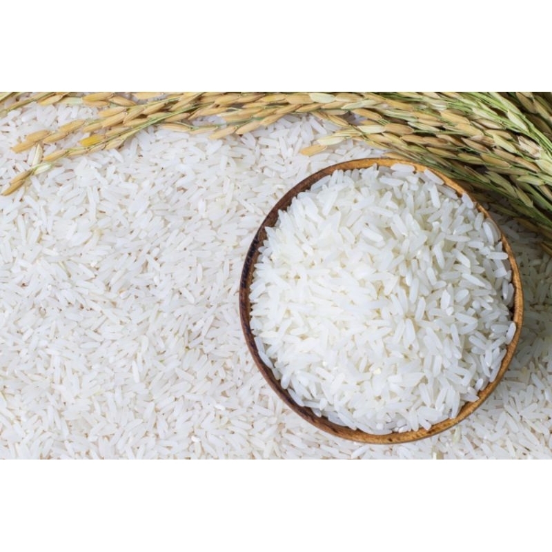 

Beras asli panen petani tanpa ada campuran 1000gr. (BACA DESKRIPSI TERLEBIH DAHULU)