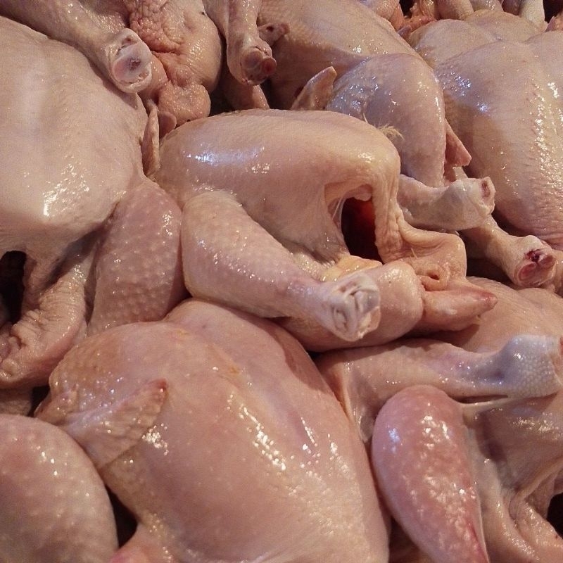 

ayam utuh UK 1,3-1,5 kg 1 ekor