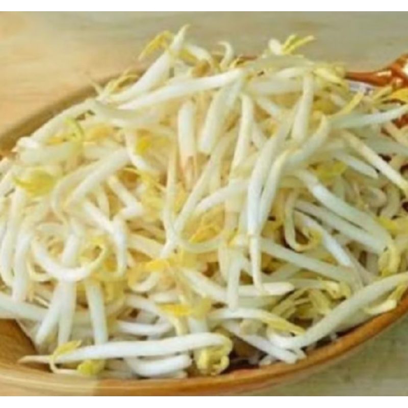 

Toge sufer fresh neto 500 Grm