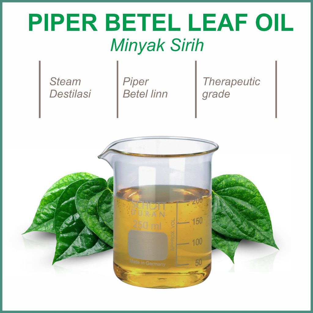 250ml-1liter Minyak atsiri daun sirih / Betel leaf oil Essensial Aromatherapy grade