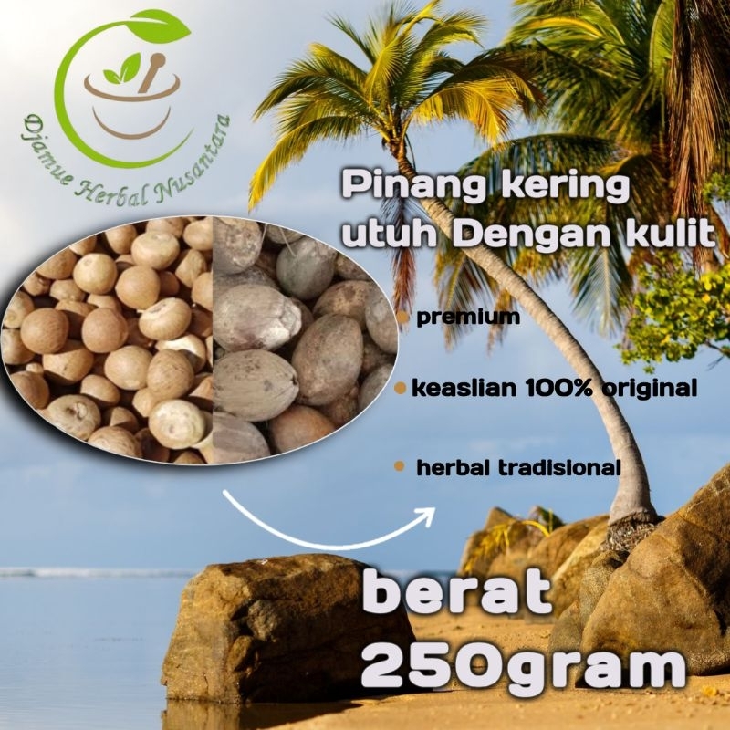 

stamina kuat pria buah pinang kering 250gram dengan kulitnya kualitas premium original