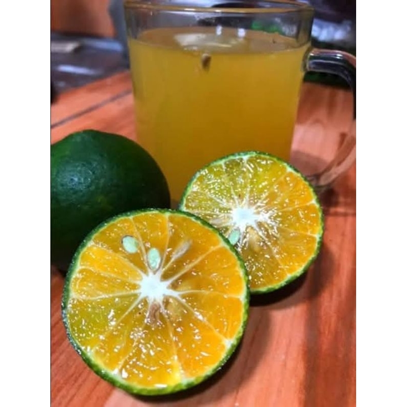 

Jeruk Kasturi Segar Termurah 1 kg
