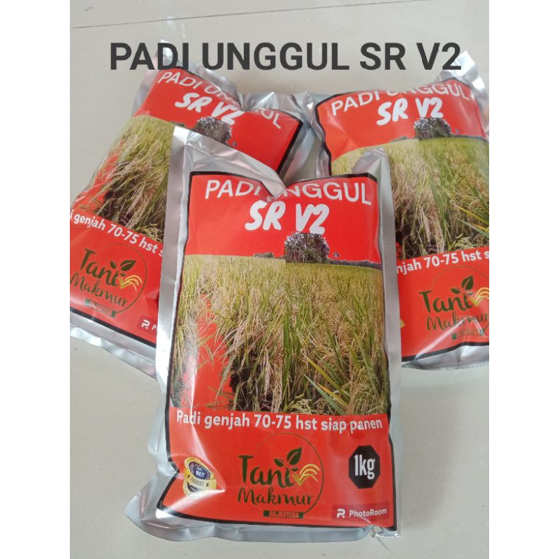 Benih padi SR V2 terbaru kemasan 1kg premium