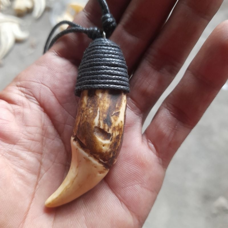 Kalung Etnik Taring Beruang Kalung Jimat Bertuah Kalung Taring