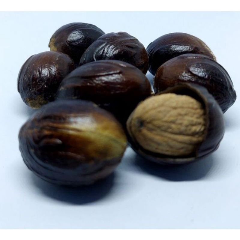 

Jual Biji Pala Tua Matang Berkualitas Pilihan Rempah-rempah Berkualitas/1biji