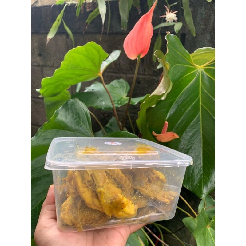 

Ayam Boiler Ungkep Lengkuas 1000gr 10 potong