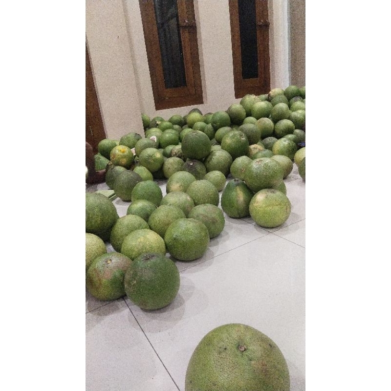 

JERUK PAMELO MADU LERENG MURIA BERAT 20KG