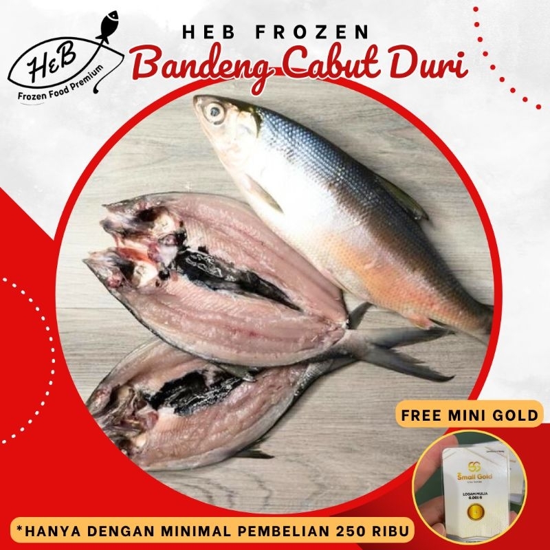 

Ikan Bandeng Tanpa Duri / Bandeng Cabut Duri (BATARI) Fresh Frozen Beku @10Kg
