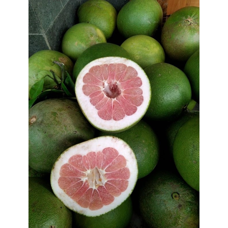 

JERUK PAMELO MADU BERAT 1,3-1,5kg