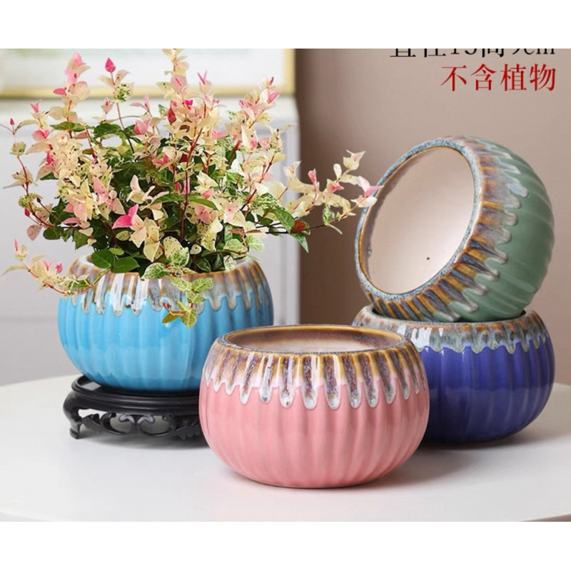 Pot sekulen/kaktus keramik besar Dm 11.5cm (1)