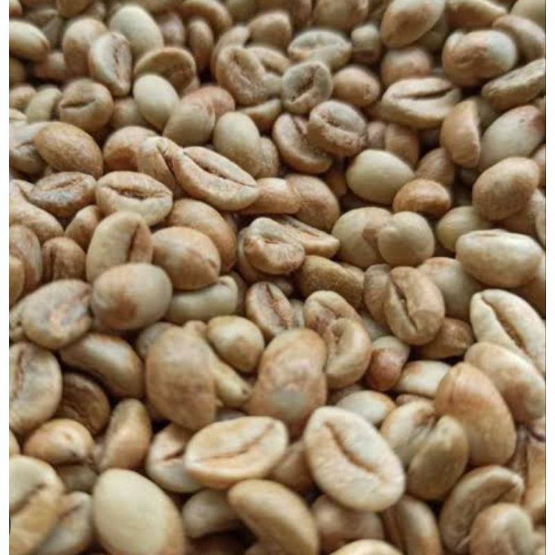 Bibit Biji kopi Robusta Arsyad 1 Kg sed Pilihan #Robusta#Arsyad #Unggul