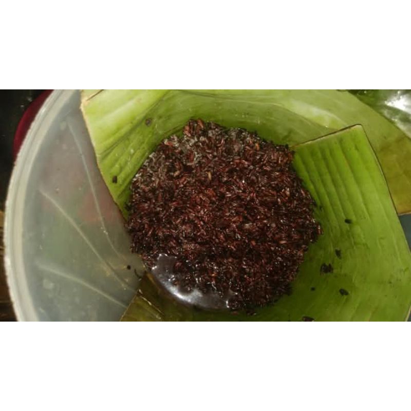 

tape ketan hitam manis