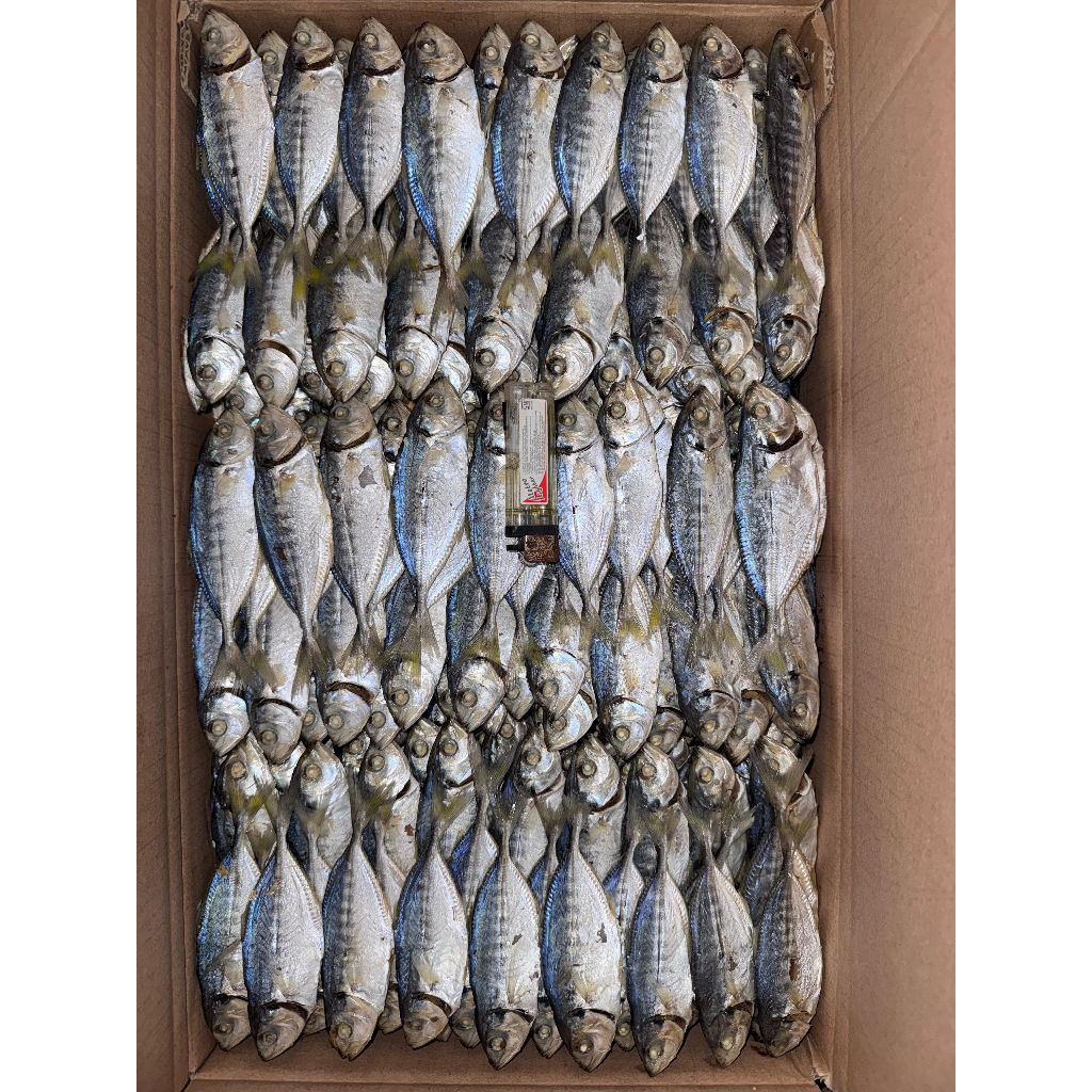 

Layang Pontong Kepala Premium | 250gr - 1000gr | Ikan Premium