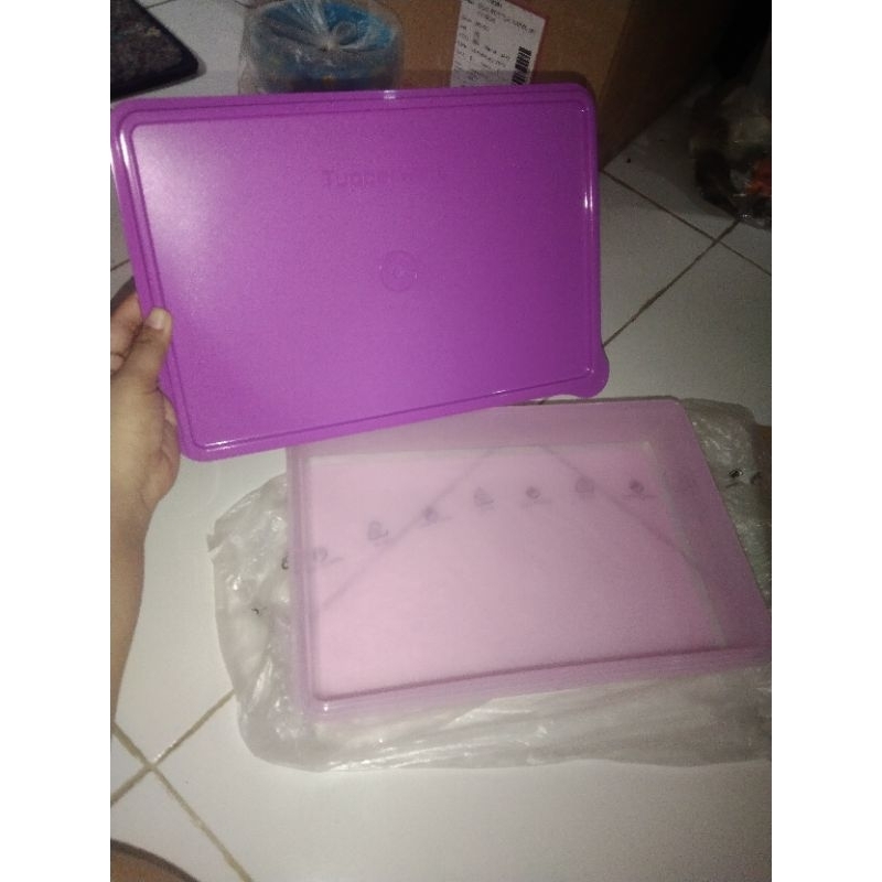 TUPPERWARE SNACK STOR (1)