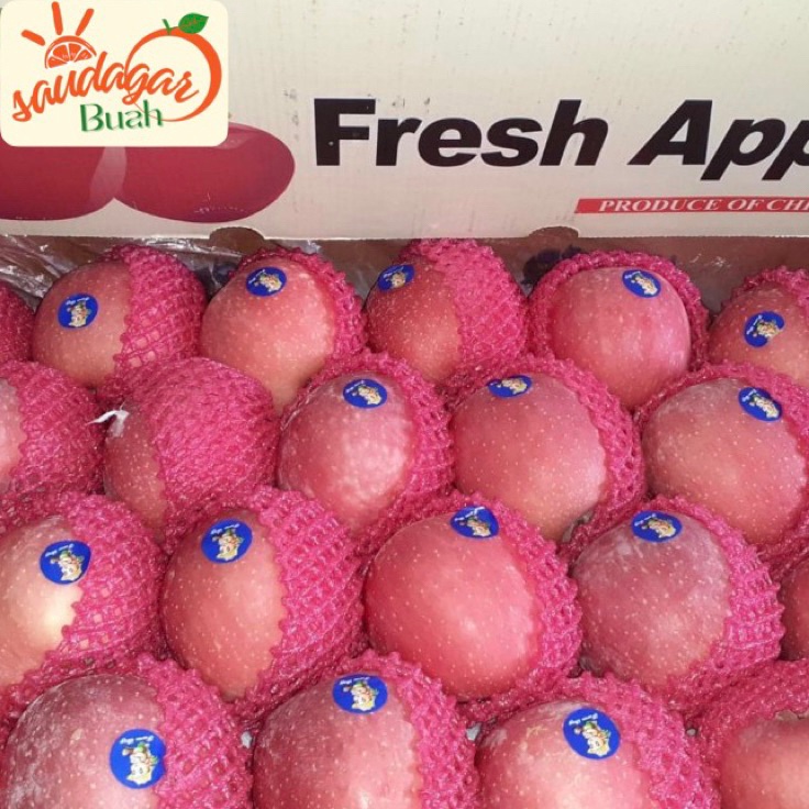 

BUAH APEL FUJI RRC MANIS UNTUK JUS 1KG