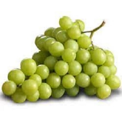 

Anggur Sweet Globe Buah Import Segar Pilihan