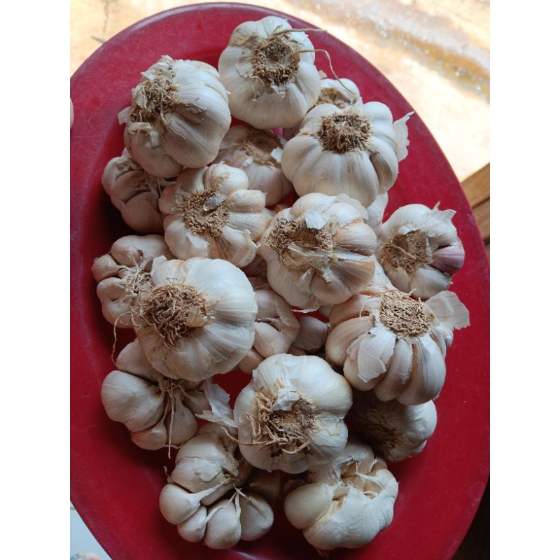 

ELSHOP Bawang Putih Bersih Murah 1 Kg | Bawang Putih Bersih | Bawang Putih Honan Sincau