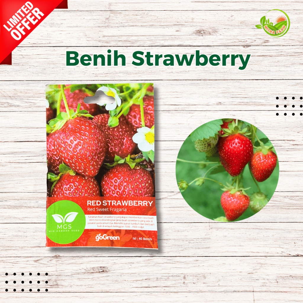 Benih Strawberry Merah-Benih Red Strawberry Murah Isi banyak-Benih Strawberry murah