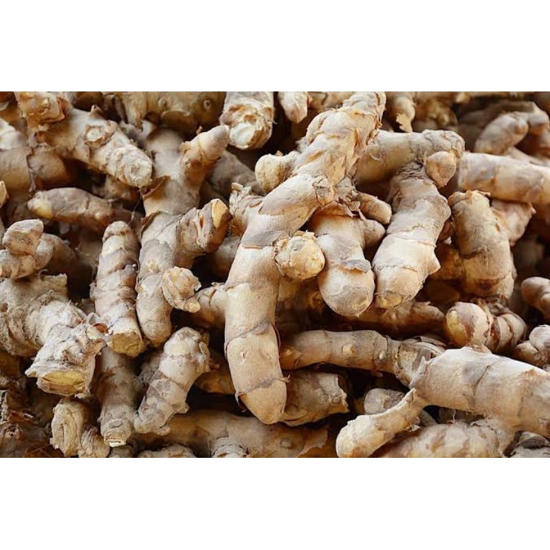 

kunyit putih segar per 1kg