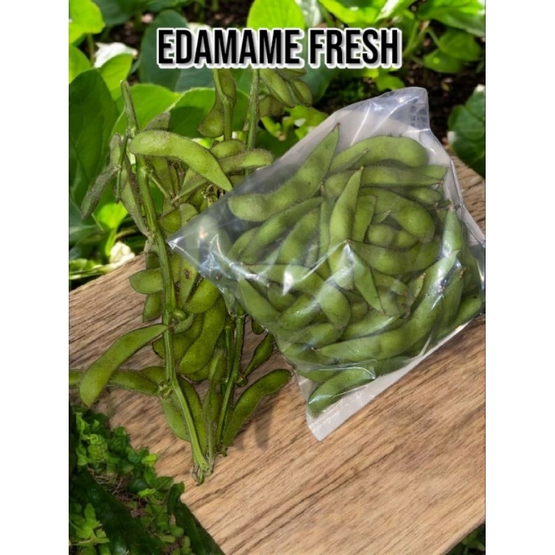 

Edamame Fresh - Kedelai Jepang - Kualitas Ekspor