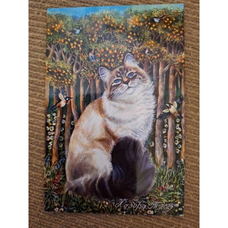 

kartu pos kucing russia/russia cat postcard