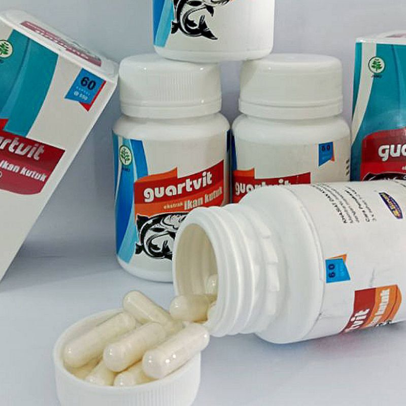 GUARVIT PIL KUTUK/IKAN GABUS/IKAN CHANNA OBAT PASCAOPERASI