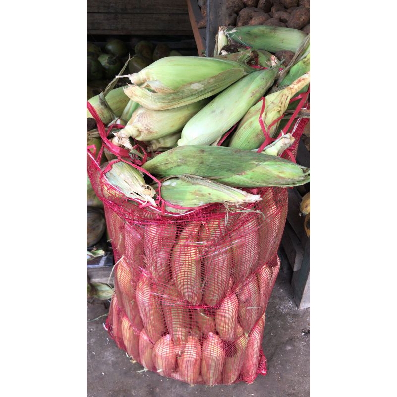 

Jagung Manis 1kg