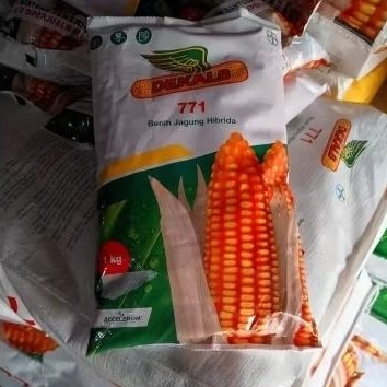 PROMO BENIH JAGUNG HIBRIDA DEKALB 771 KEMASAN 1KG ORIGINAL