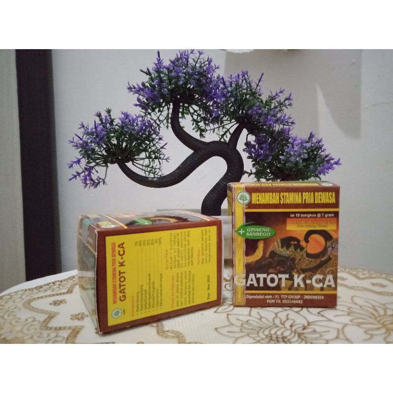 gatot kaca (serbuk) 100% ori