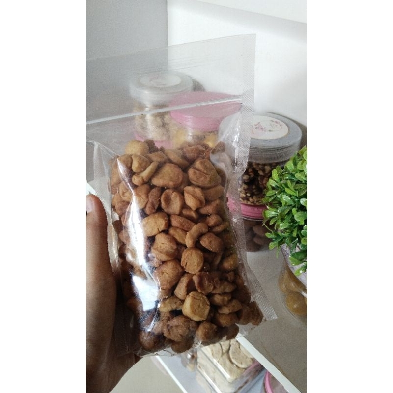 

biji ketapang