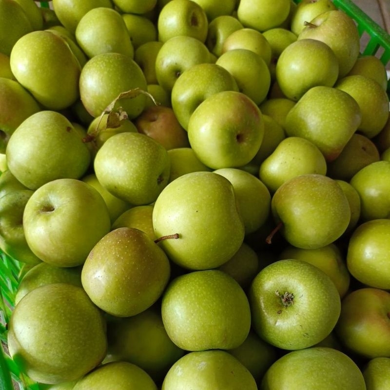 apel hijau granny smith lokal 1kg 15-20 dalam 1kg