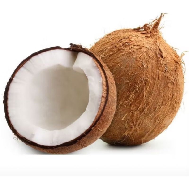 

buah kelapa segar bahan santan perbiji 10000