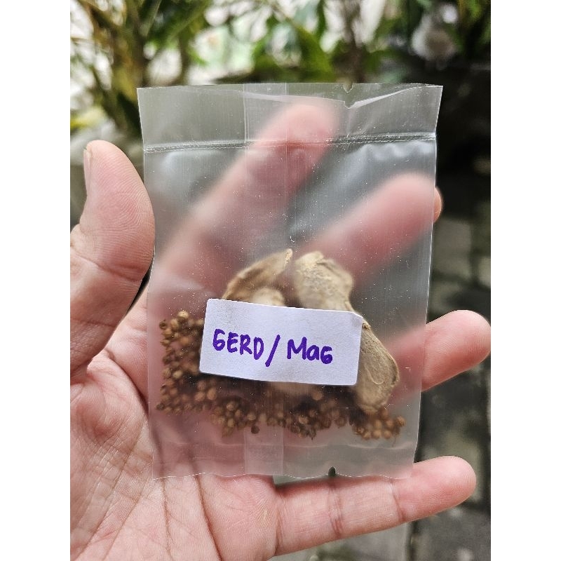 

JSR Minuman Herbal Gerd/mag