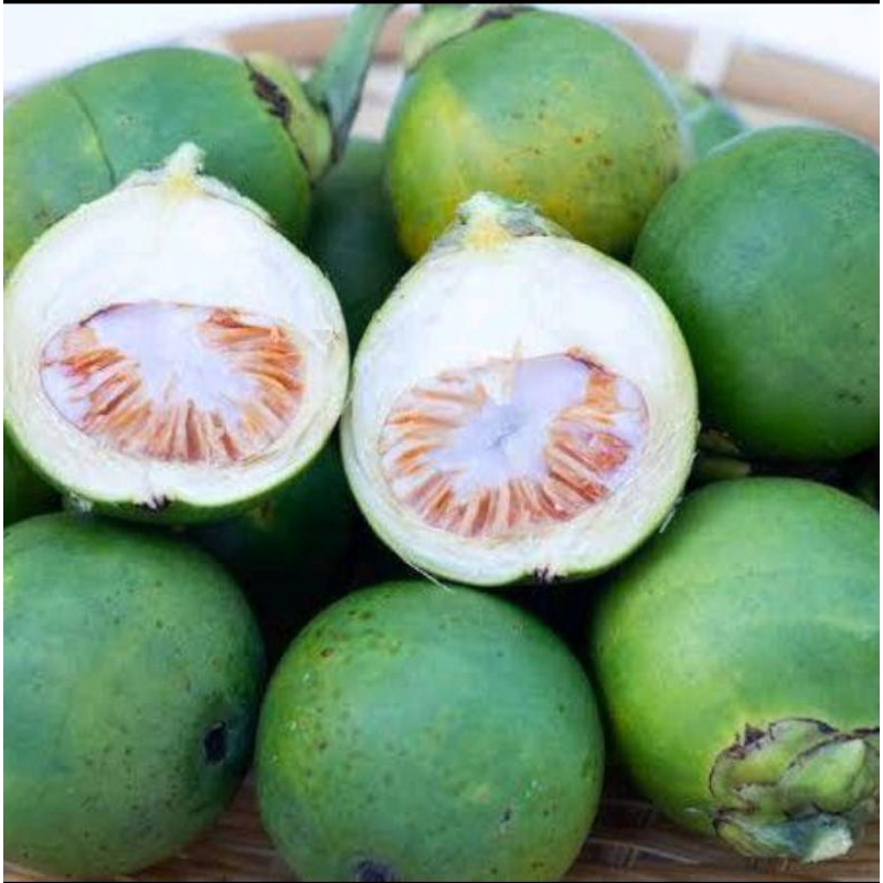 

BUAH PINANG MUDA 1KG BUAH JAMBE BUAH JEBUG BISA COD TERMURAH