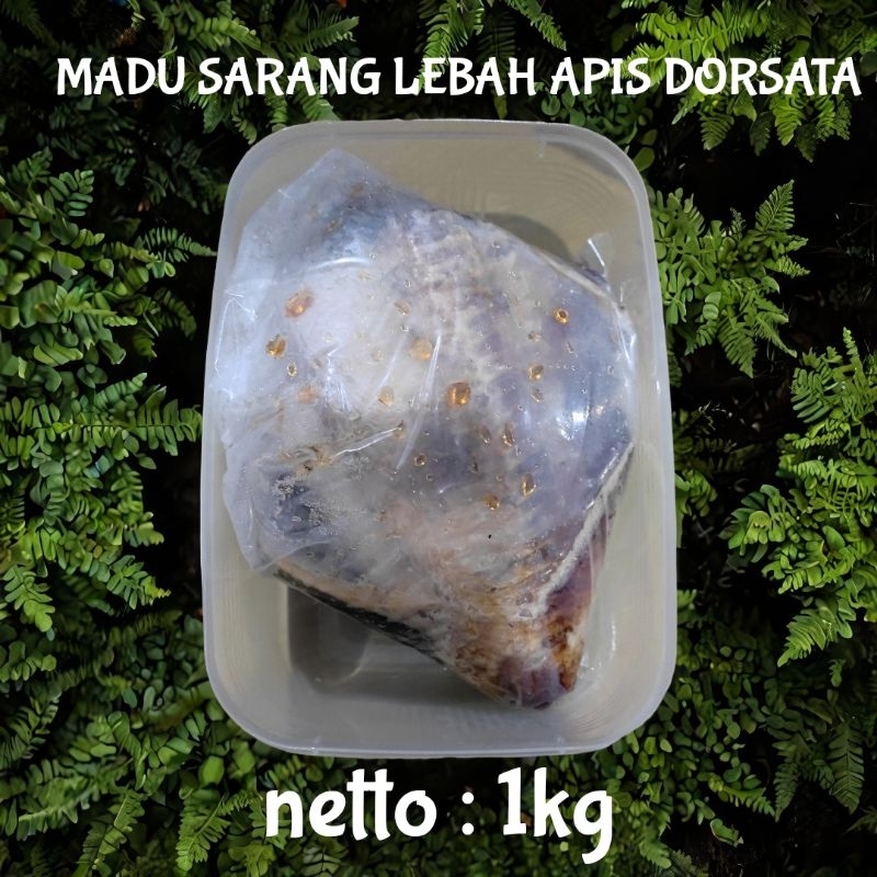 

MADU SARANG LEBAH HUTAN APIS DORSATA 1KG