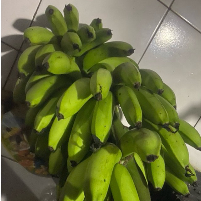 

Buah Pisang Matah Erbe Moll isi 20 Buah Pisang